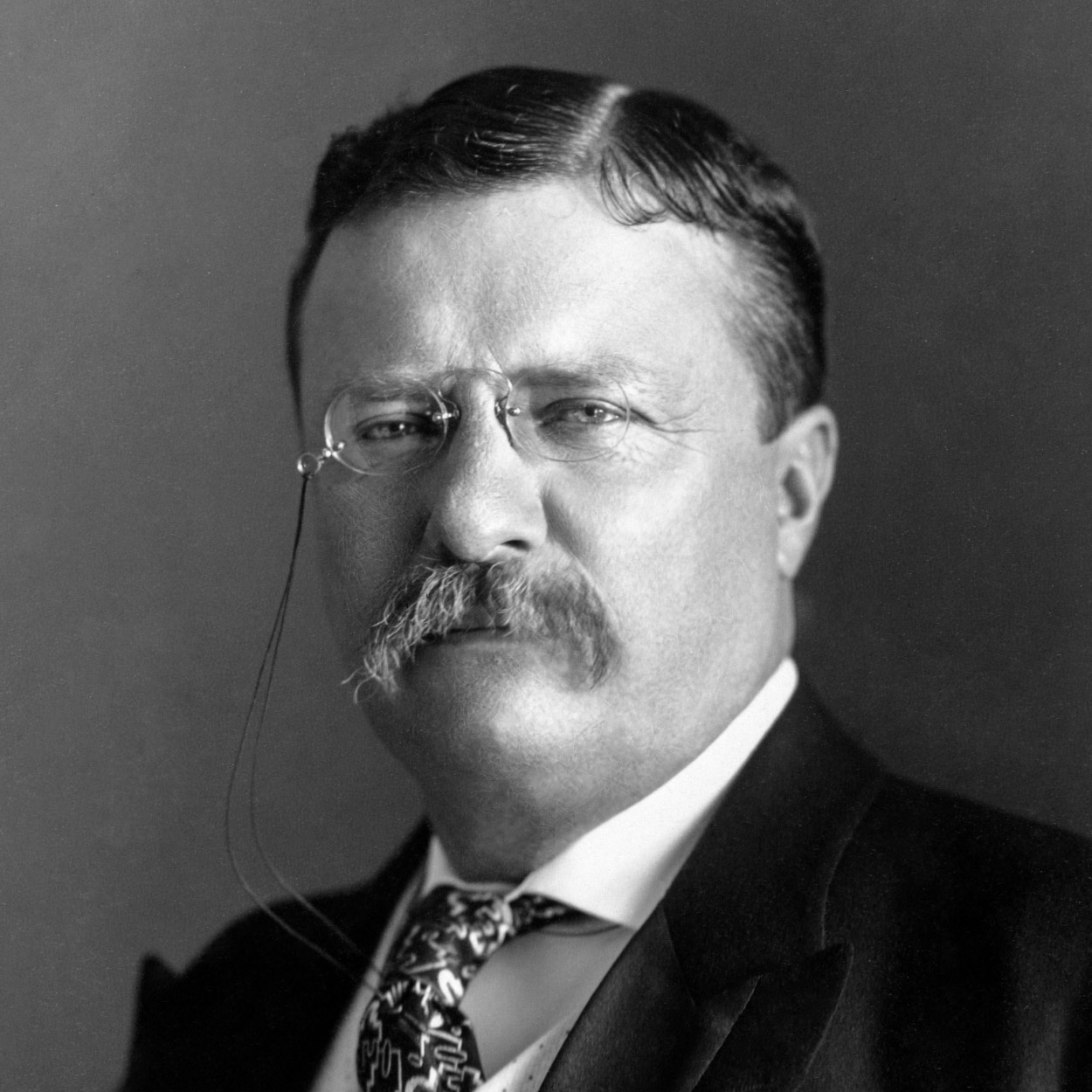the rise of theodore roosevelt