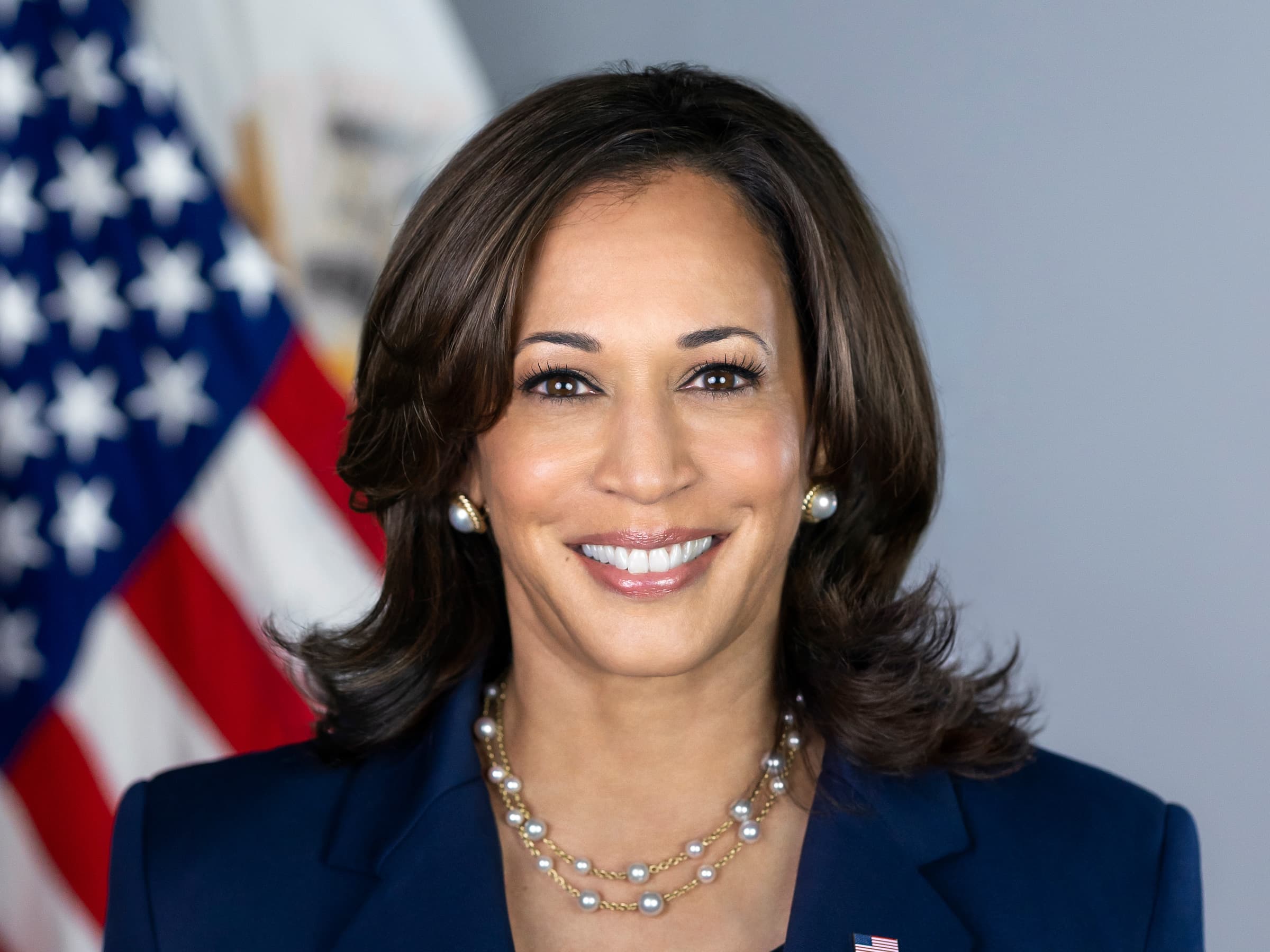 Kamala Harris: The Vice President